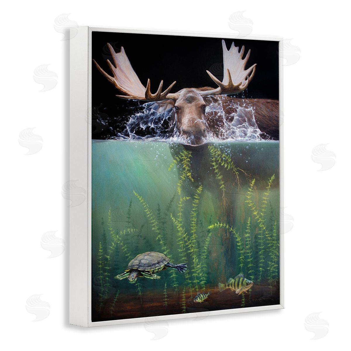 James Corwin | Moose Underwater View