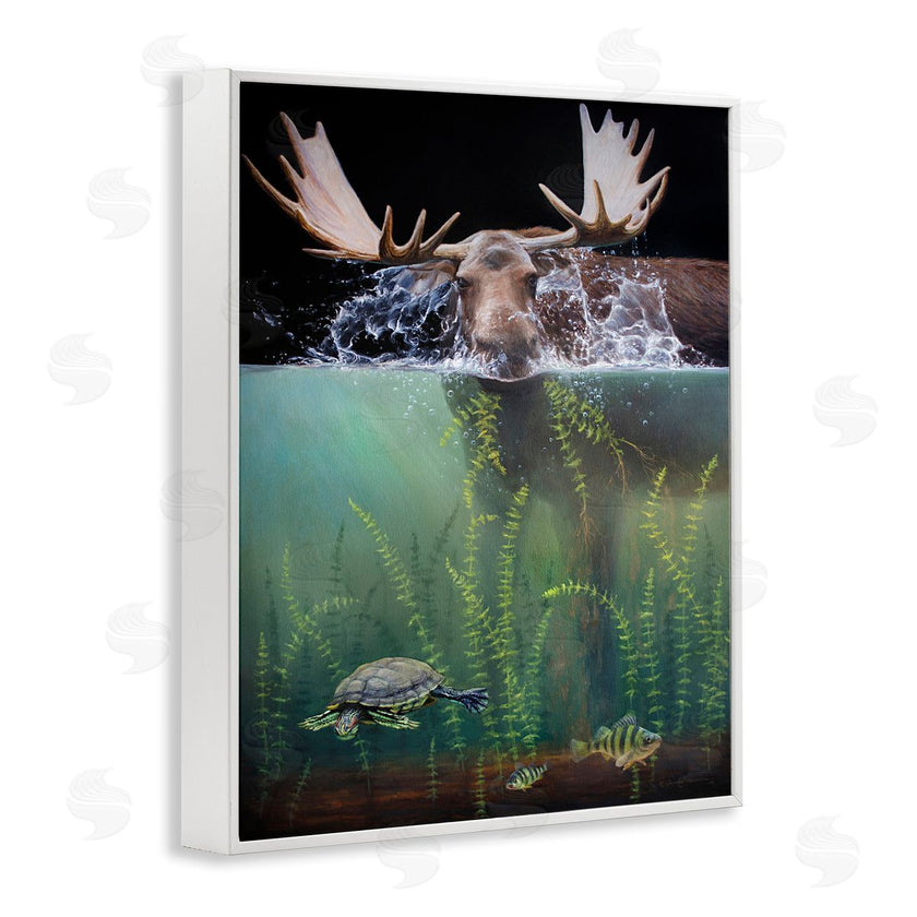James Corwin | Moose Underwater View