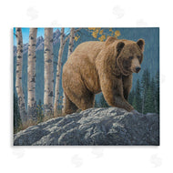 Jeff Hoff | Brown Bear on Rock