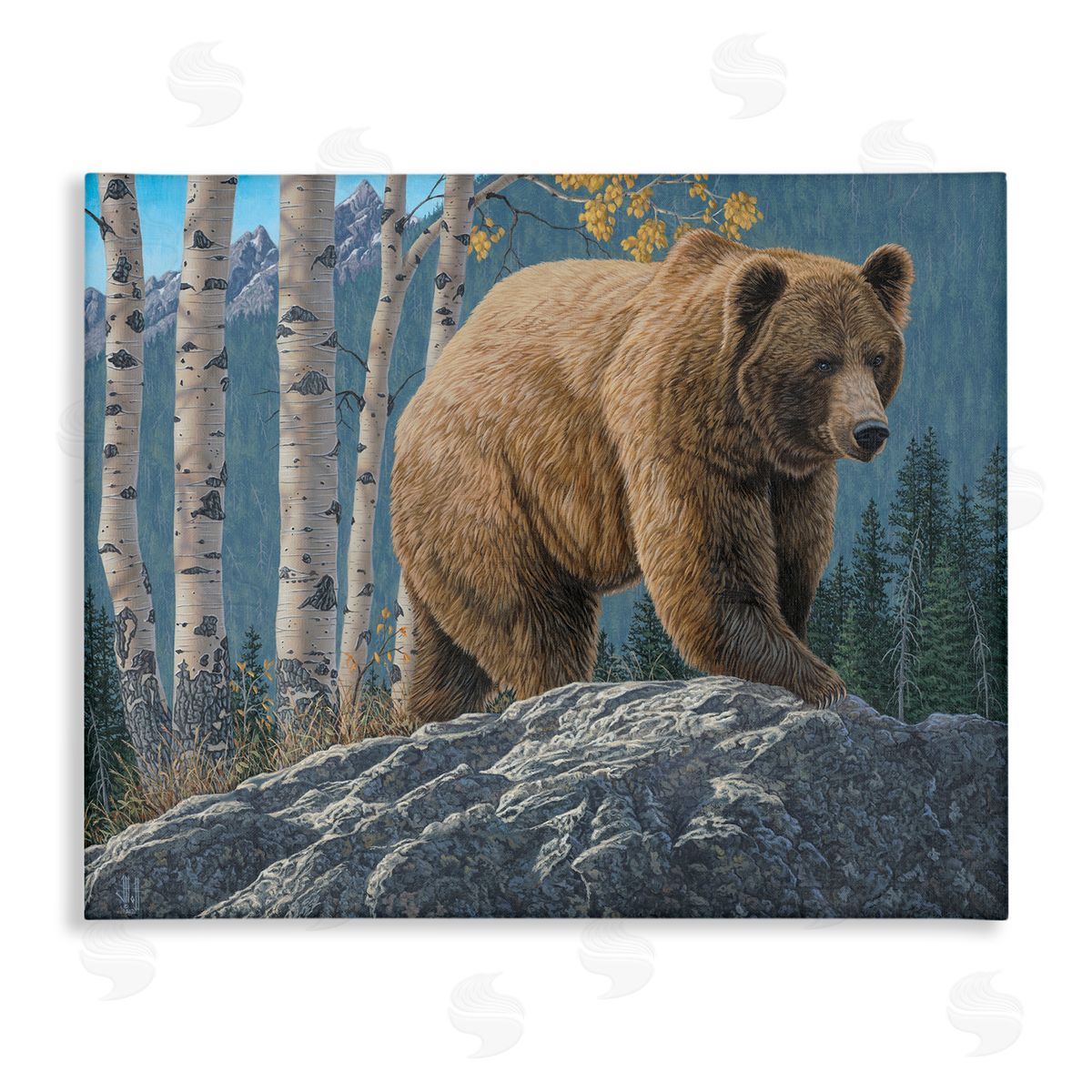 Jeff Hoff | Brown Bear on Rock