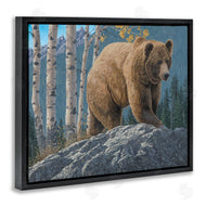 Jeff Hoff | Brown Bear on Rock