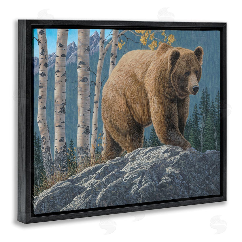 Jeff Hoff | Brown Bear on Rock