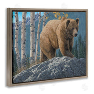 Jeff Hoff | Brown Bear on Rock