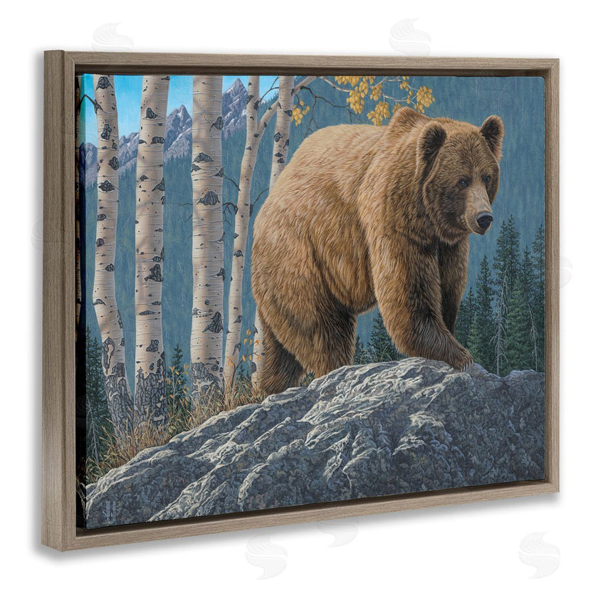 Jeff Hoff | Brown Bear on Rock
