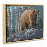 Jeff Hoff | Brown Bear on Rock