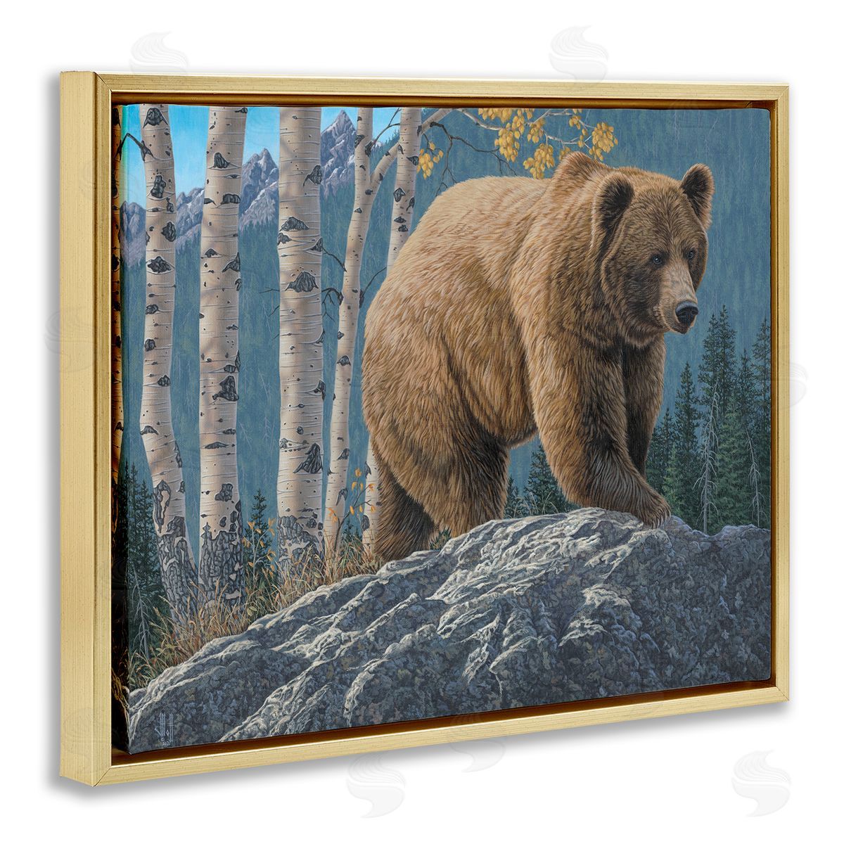 Jeff Hoff | Brown Bear on Rock