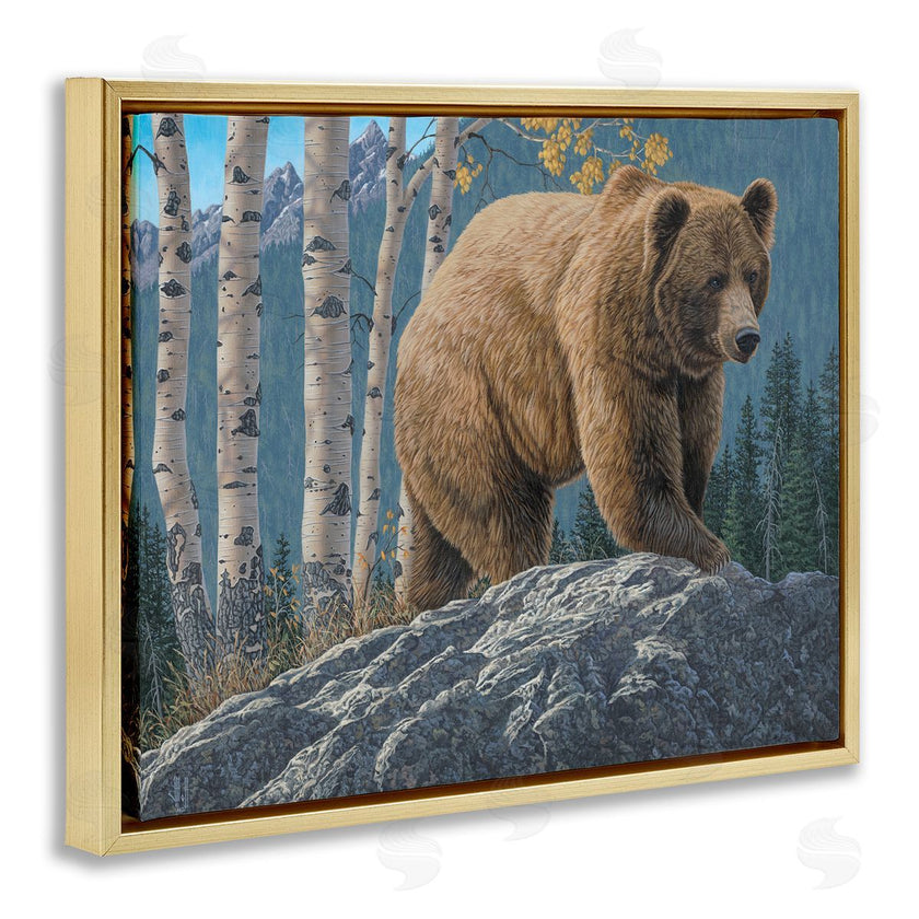Jeff Hoff | Brown Bear on Rock