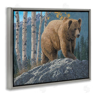 Jeff Hoff | Brown Bear on Rock