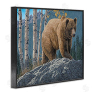 Jeff Hoff | Brown Bear on Rock