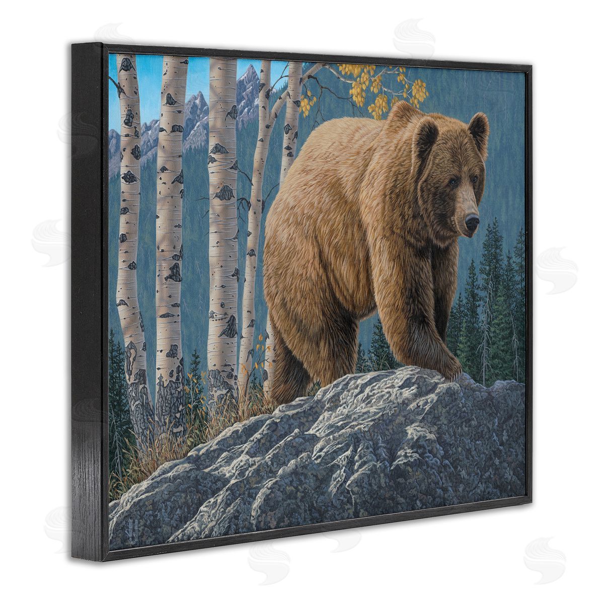 Jeff Hoff | Brown Bear on Rock