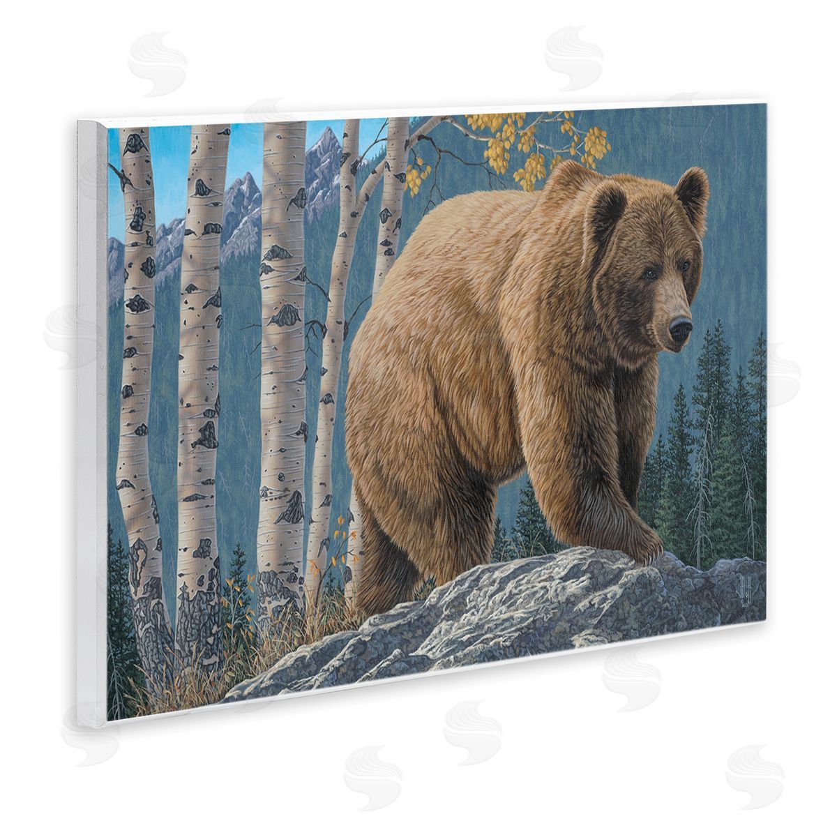 Jeff Hoff | Brown Bear on Rock