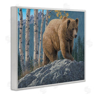 Jeff Hoff | Brown Bear on Rock