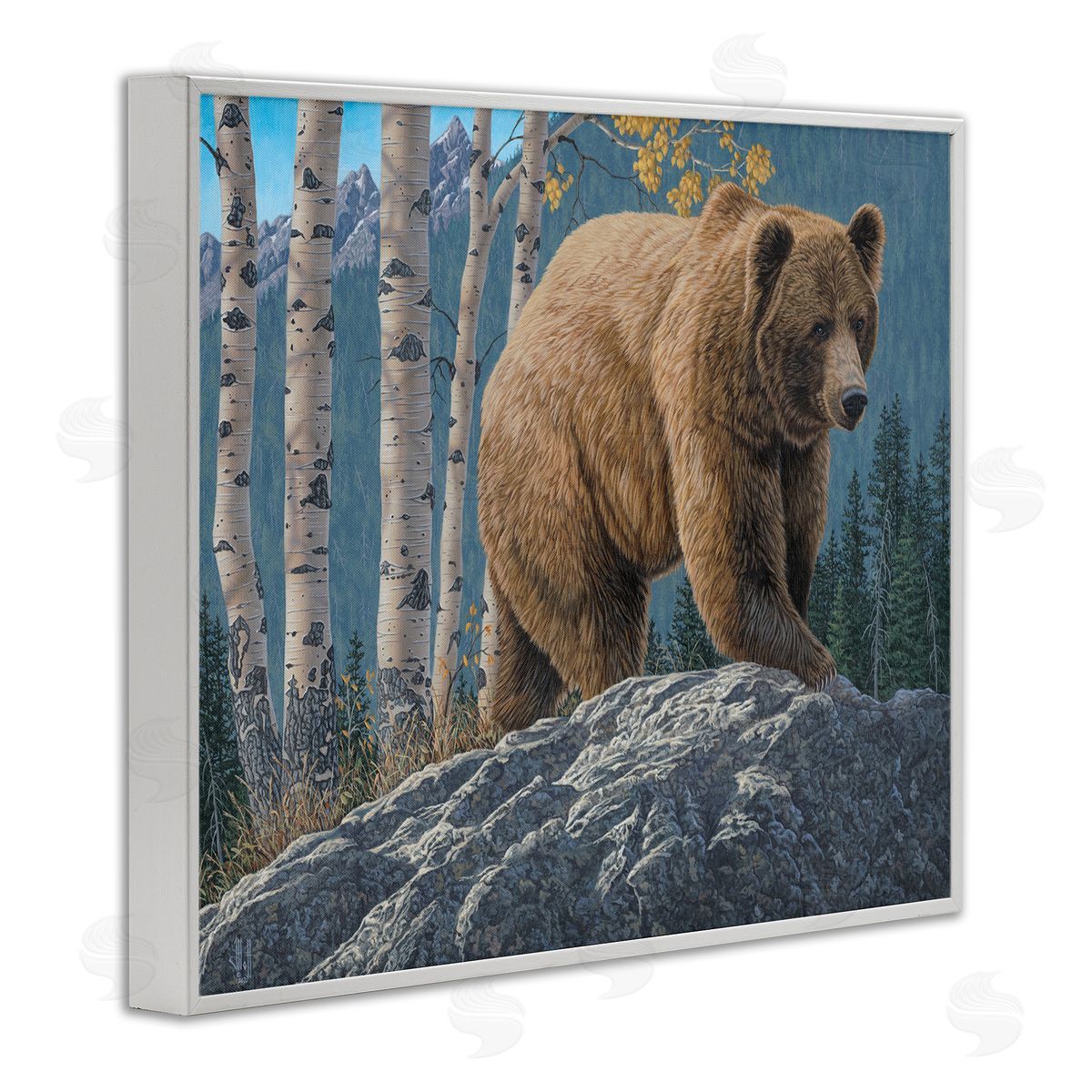 Jeff Hoff | Brown Bear on Rock