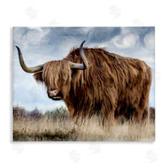 Kim Allen | Highland Cattle in Field