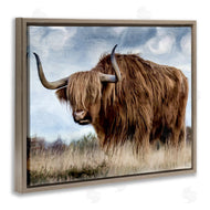Kim Allen | Highland Cattle in Field