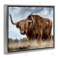 Kim Allen | Highland Cattle in Field