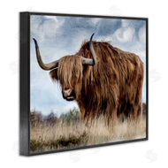 Kim Allen | Highland Cattle in Field