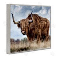 Kim Allen | Highland Cattle in Field