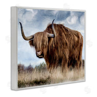 Kim Allen | Highland Cattle in Field