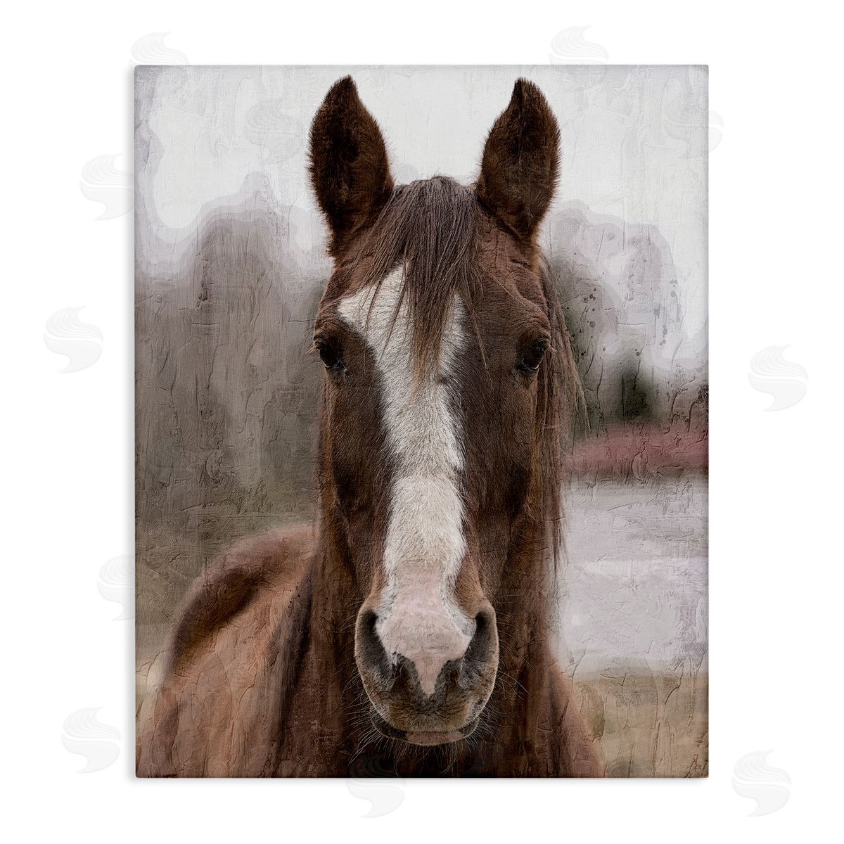 Kim Allen | Colt Horse Portrait