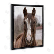 Kim Allen | Colt Horse Portrait