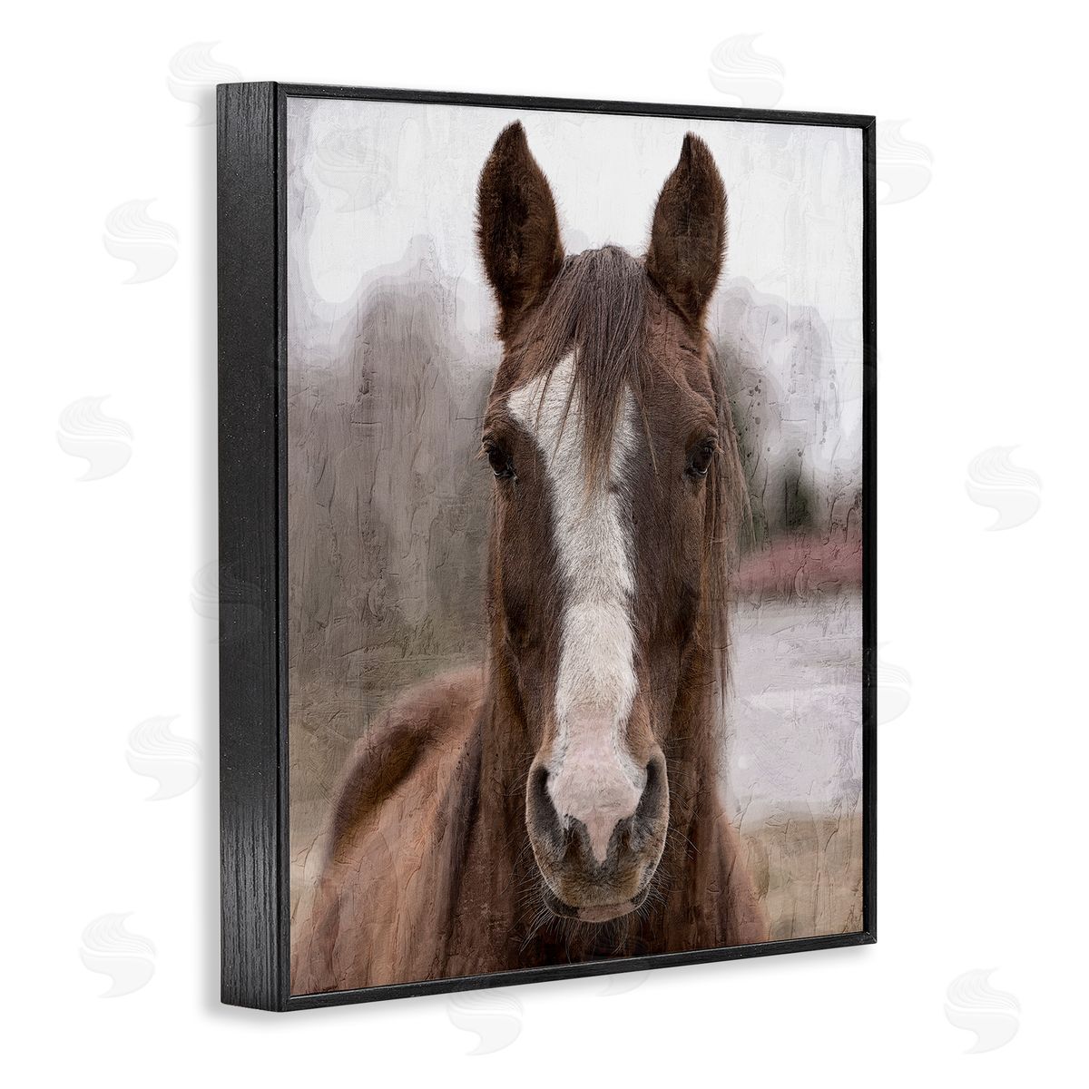 Kim Allen | Colt Horse Portrait