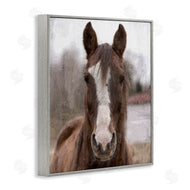 Kim Allen | Colt Horse Portrait