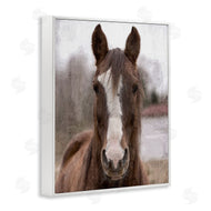 Kim Allen | Colt Horse Portrait