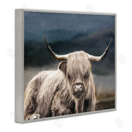 Kim Allen | Highland Cow Portrait