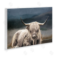 Kim Allen | Highland Cow Portrait