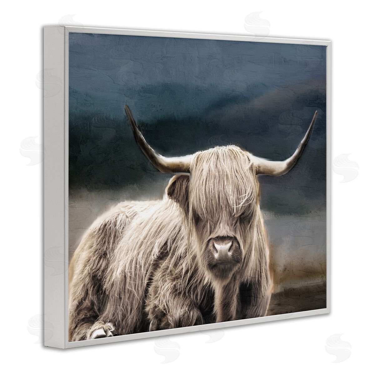 Kim Allen | Highland Cow Portrait