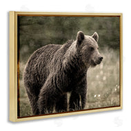 Kim Allen | Brown Bear Wildlife
