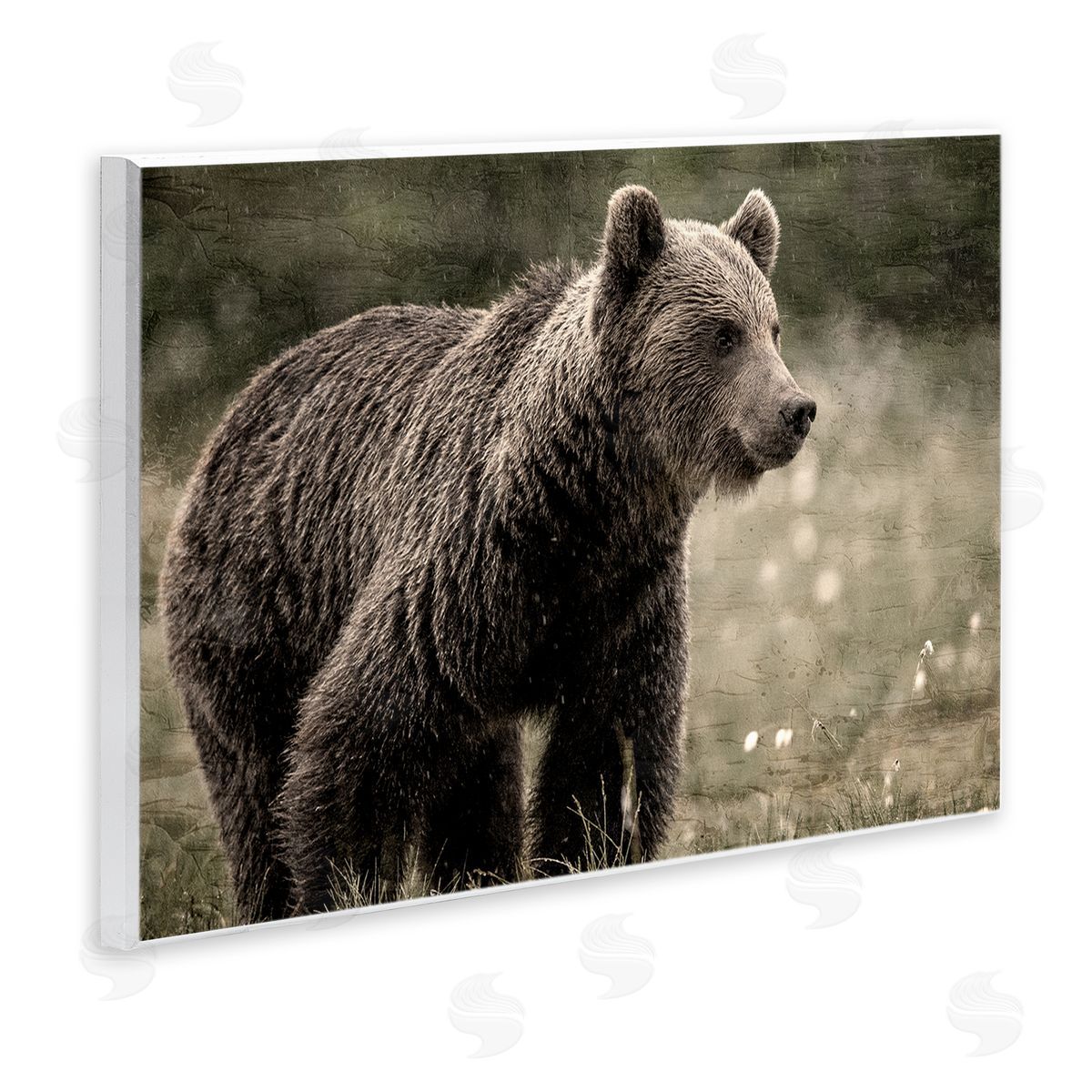 Kim Allen Brown Bear Wildlife Wall Plaque Artside_