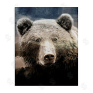 Kim Allen | Grizzly Bear Face Portrait