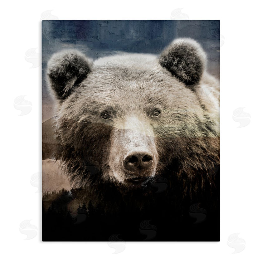 Kim Allen | Grizzly Bear Face Portrait