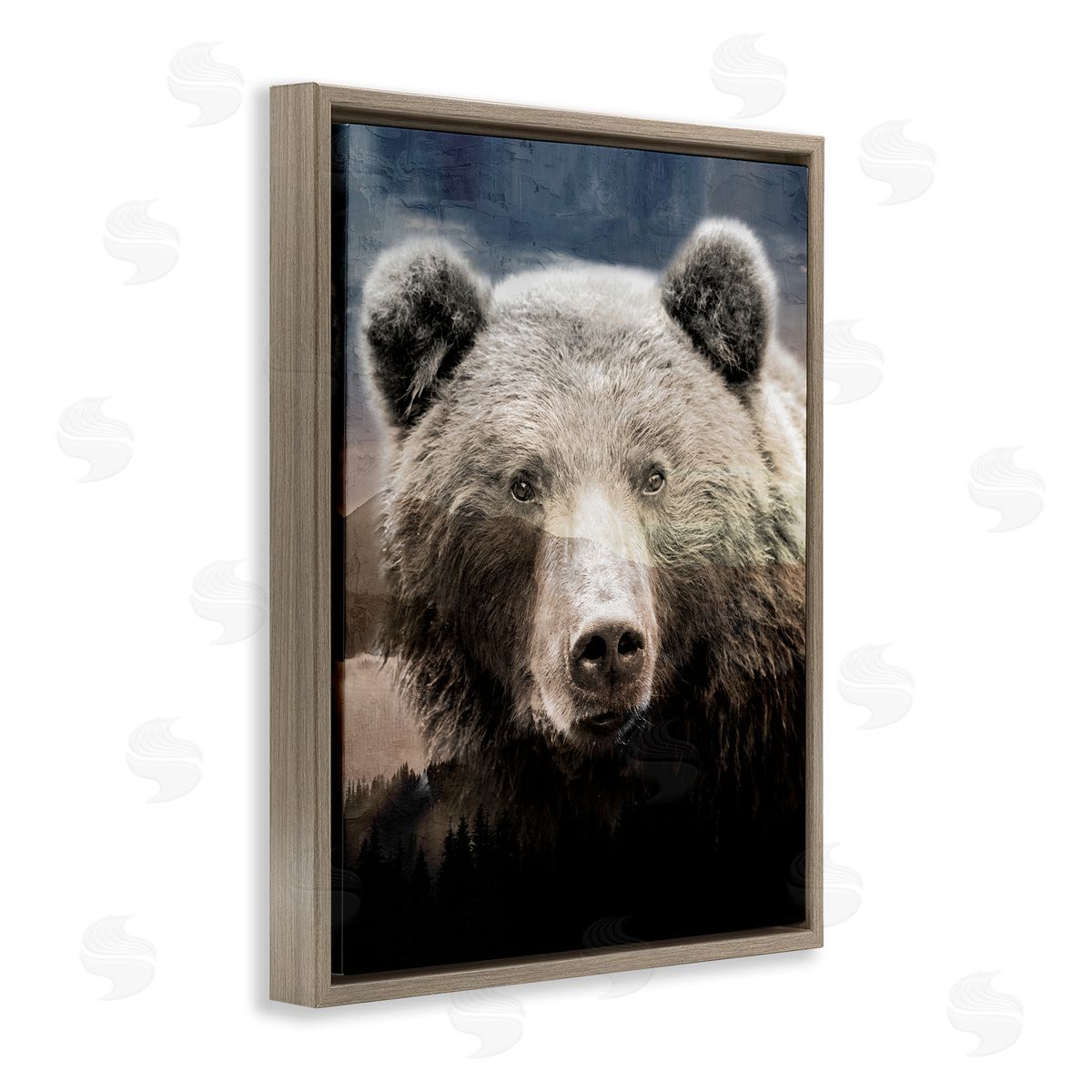 Kim Allen | Grizzly Bear Face Portrait