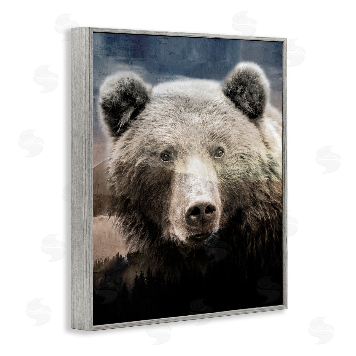 Kim Allen | Grizzly Bear Face Portrait