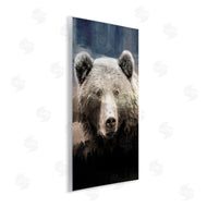 Kim Allen | Grizzly Bear Face Portrait