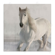 Kim Allen | Galloping White Stallion