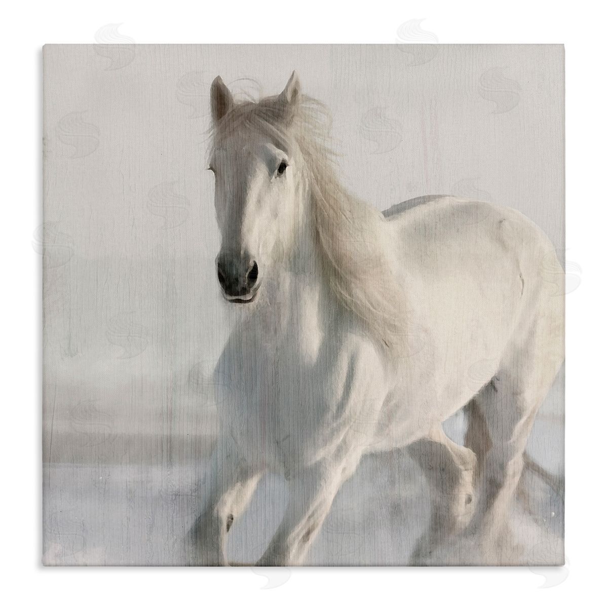 Kim Allen | Galloping White Stallion
