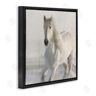 Kim Allen | Galloping White Stallion