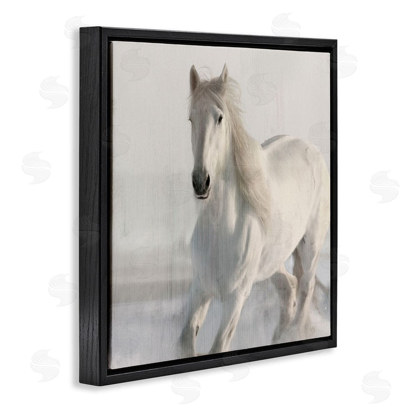 Kim Allen | Galloping White Stallion