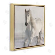 Kim Allen | Galloping White Stallion