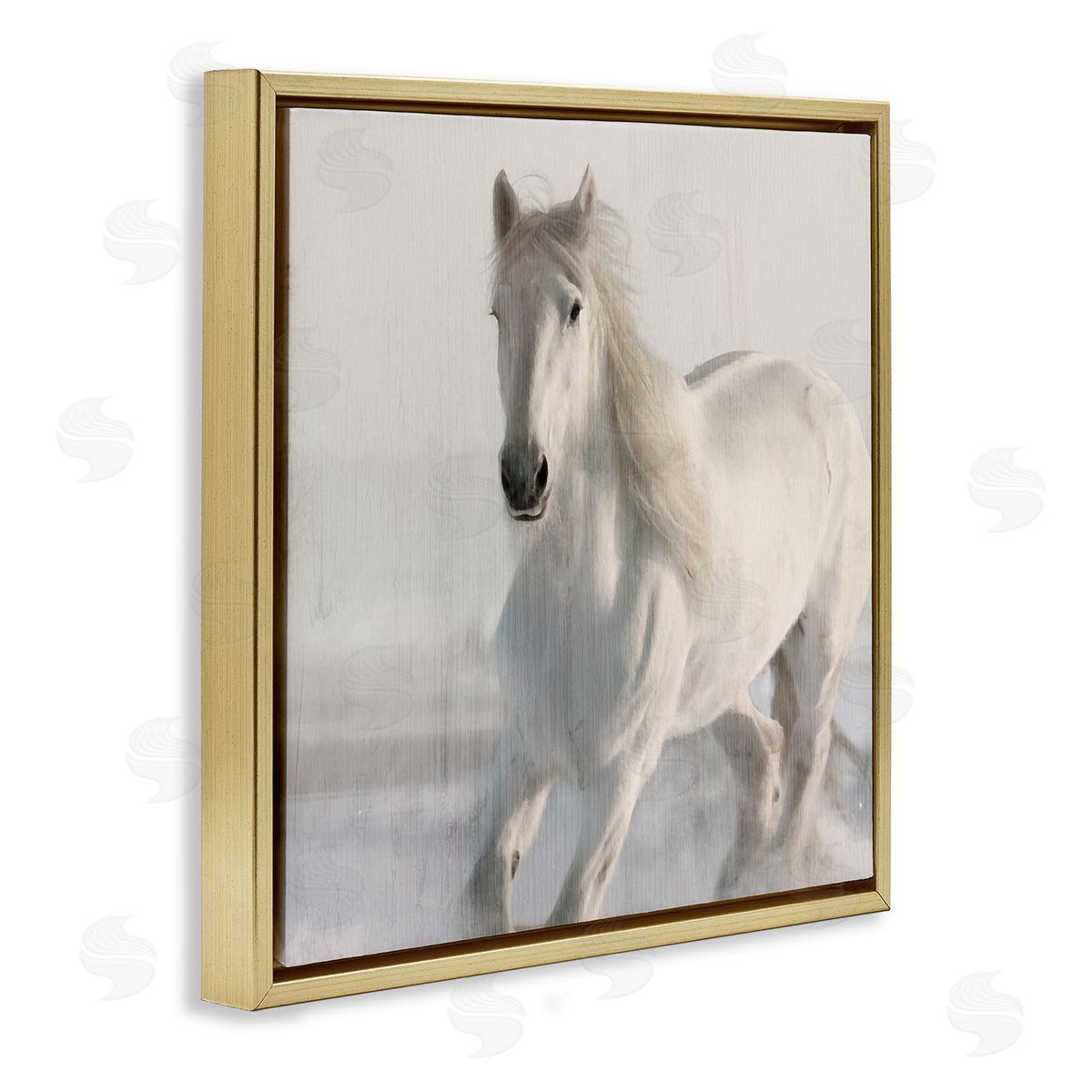 Kim Allen | Galloping White Stallion