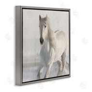 Kim Allen | Galloping White Stallion