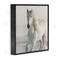 Kim Allen | Galloping White Stallion