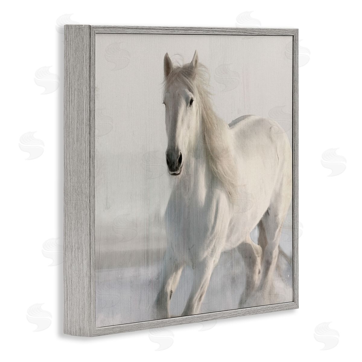 Kim Allen Galloping White Stallion Gray Framed Giclee Wall Artside_