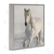 Kim Allen | Galloping White Stallion