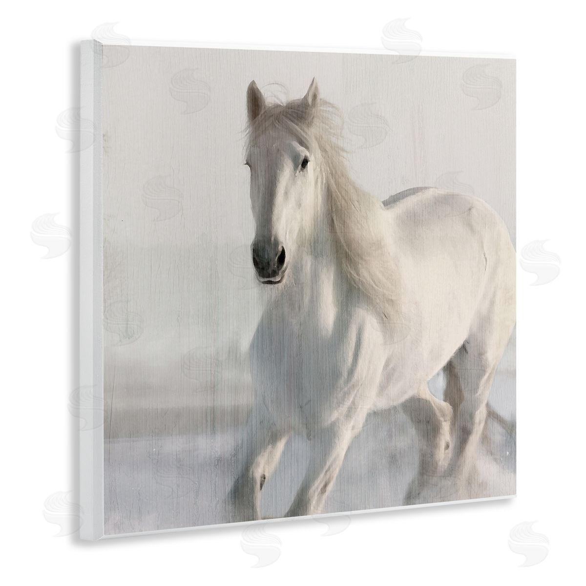 Kim Allen | Galloping White Stallion
