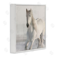 Kim Allen | Galloping White Stallion